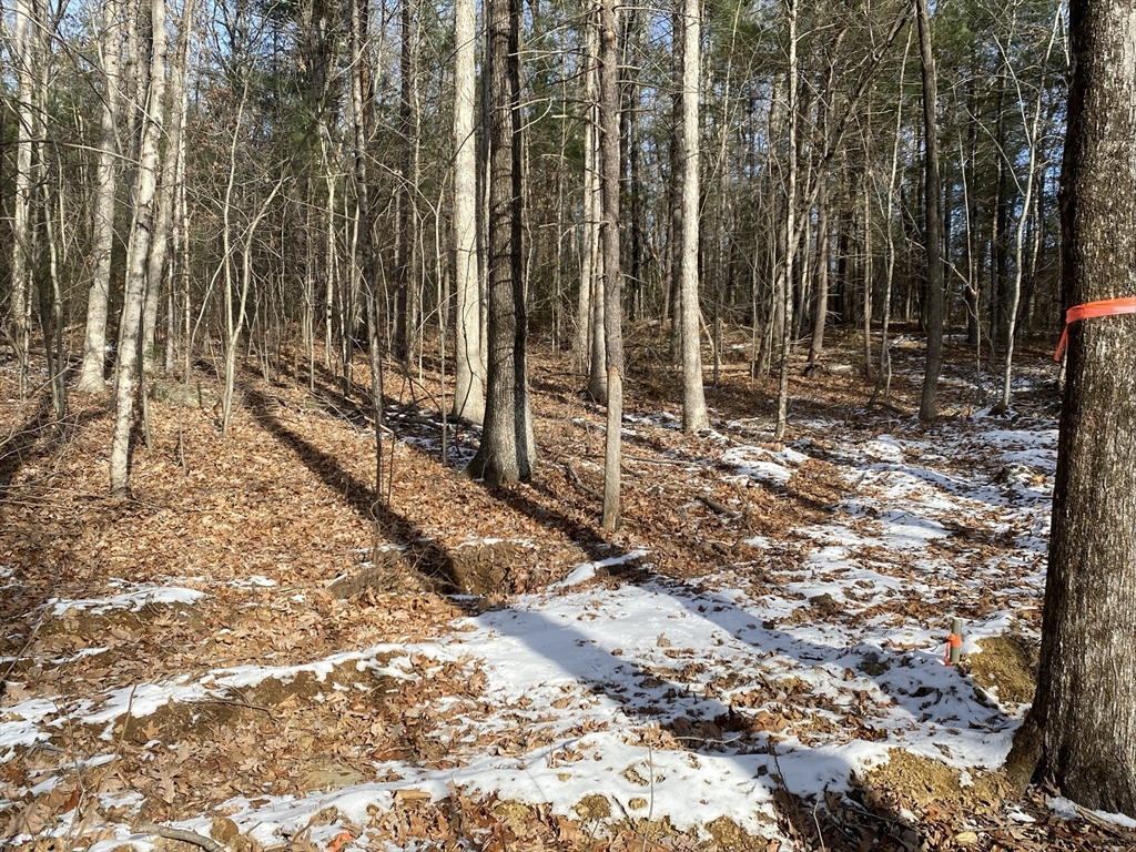121-lt12 Sturbridge Road Brimfield, MA 01010 - Photo 11 of 13 a view of a backyard of the house