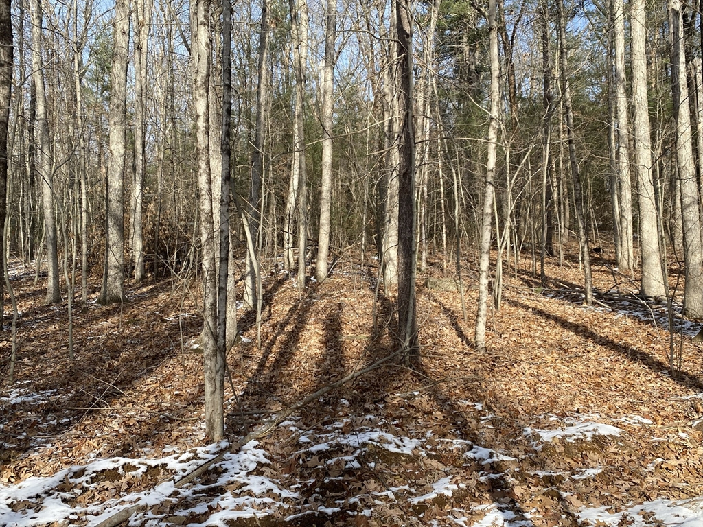 121-lt12 Sturbridge Road Brimfield, MA 01010 - Photo 12 of 13 a view of a backyard of the house