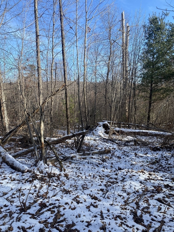 121-lt12 Sturbridge Road Brimfield, MA 01010 - Photo 2 of 13 a backyard of a house with lots of green space