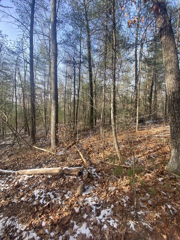 121-lt12 Sturbridge Road Brimfield, MA 01010 - Photo 5 of 13 a backyard of a house with lots of green space