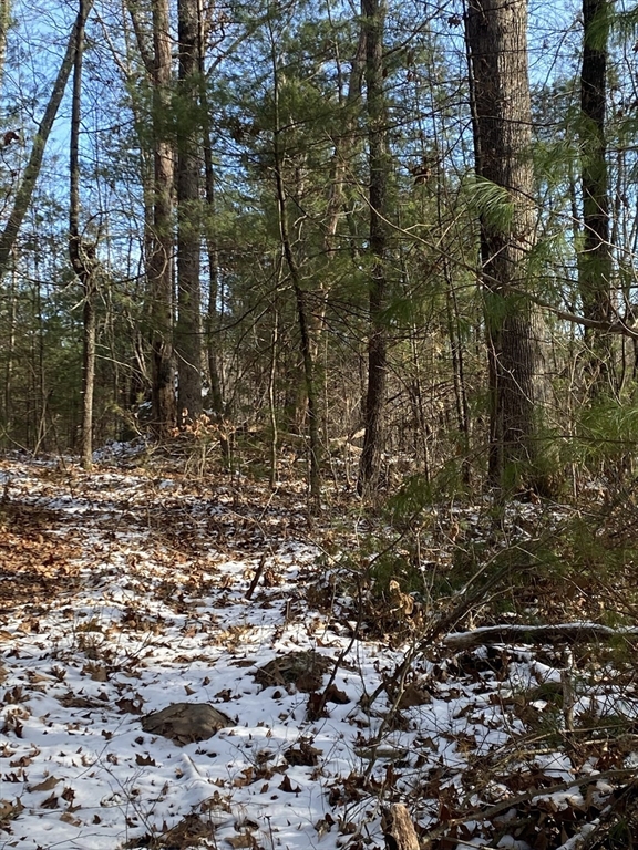 121-lt12 Sturbridge Road Brimfield, MA 01010 - Photo 7 of 13