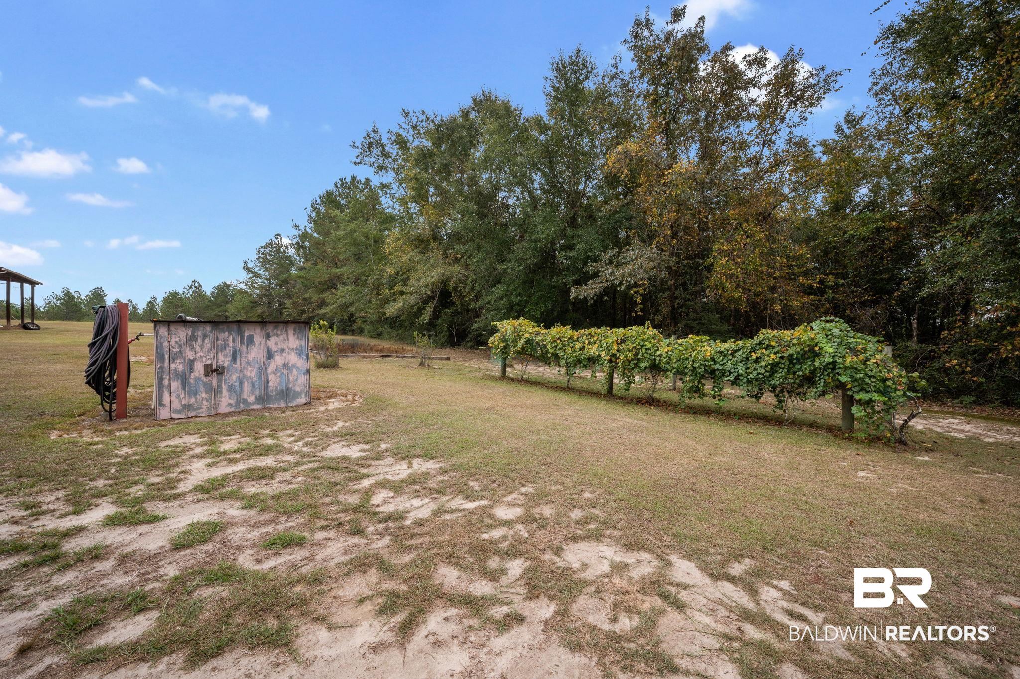 44702 Phillipsville Road Bay Minette, AL 36507 - Photo 25 of 31 Gallery Image 25