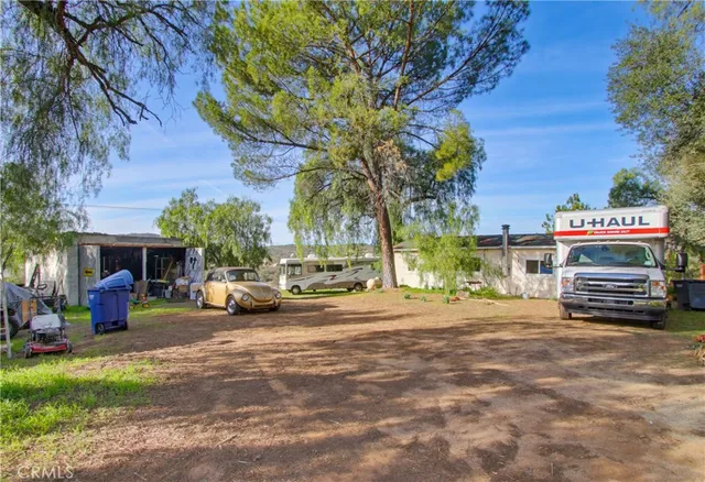 a view of a garden with a tree