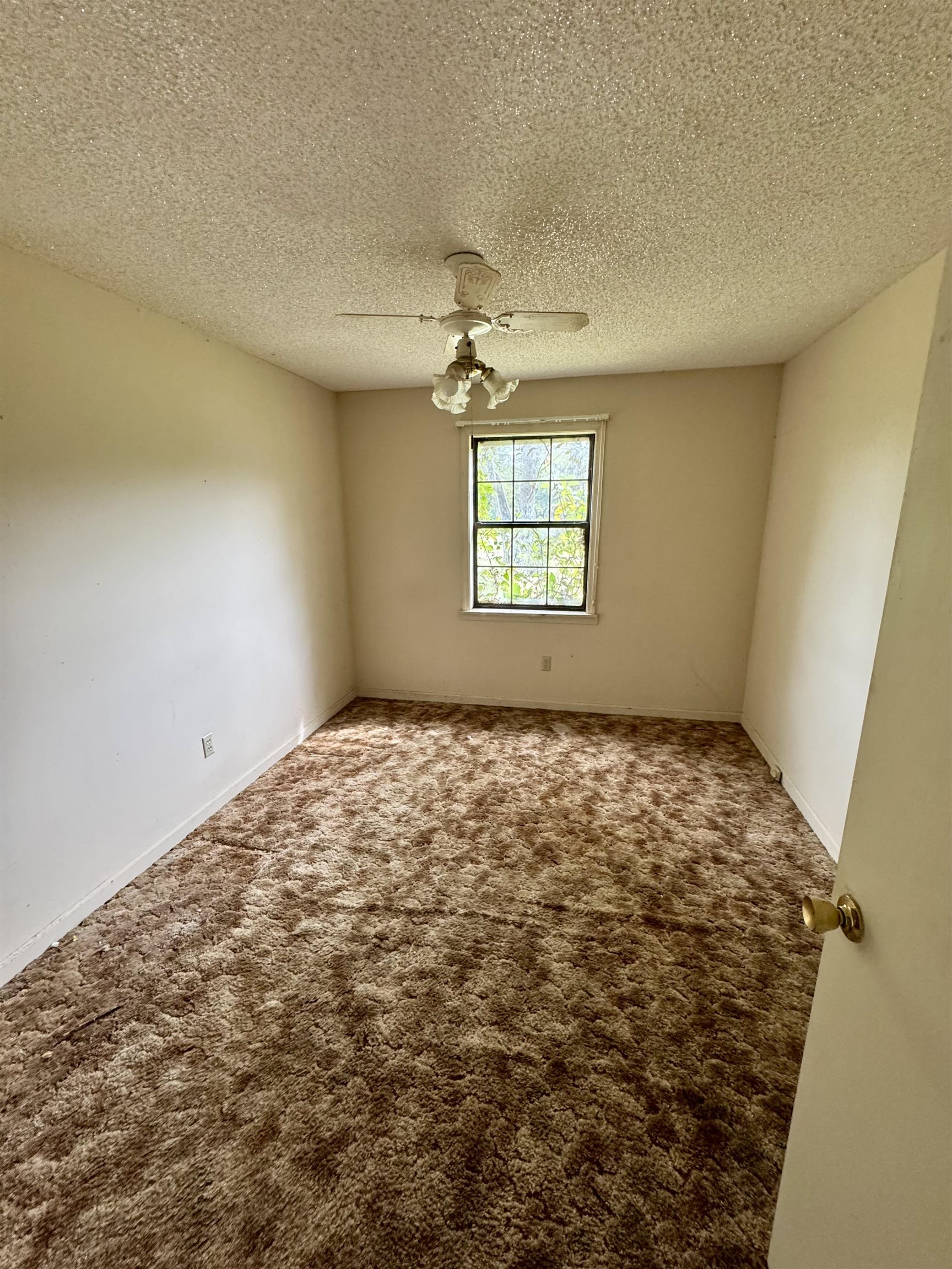 1137 Lucy Kelly Road Brighton, TN 38011 - Photo 16 of 19 Gallery Image 16