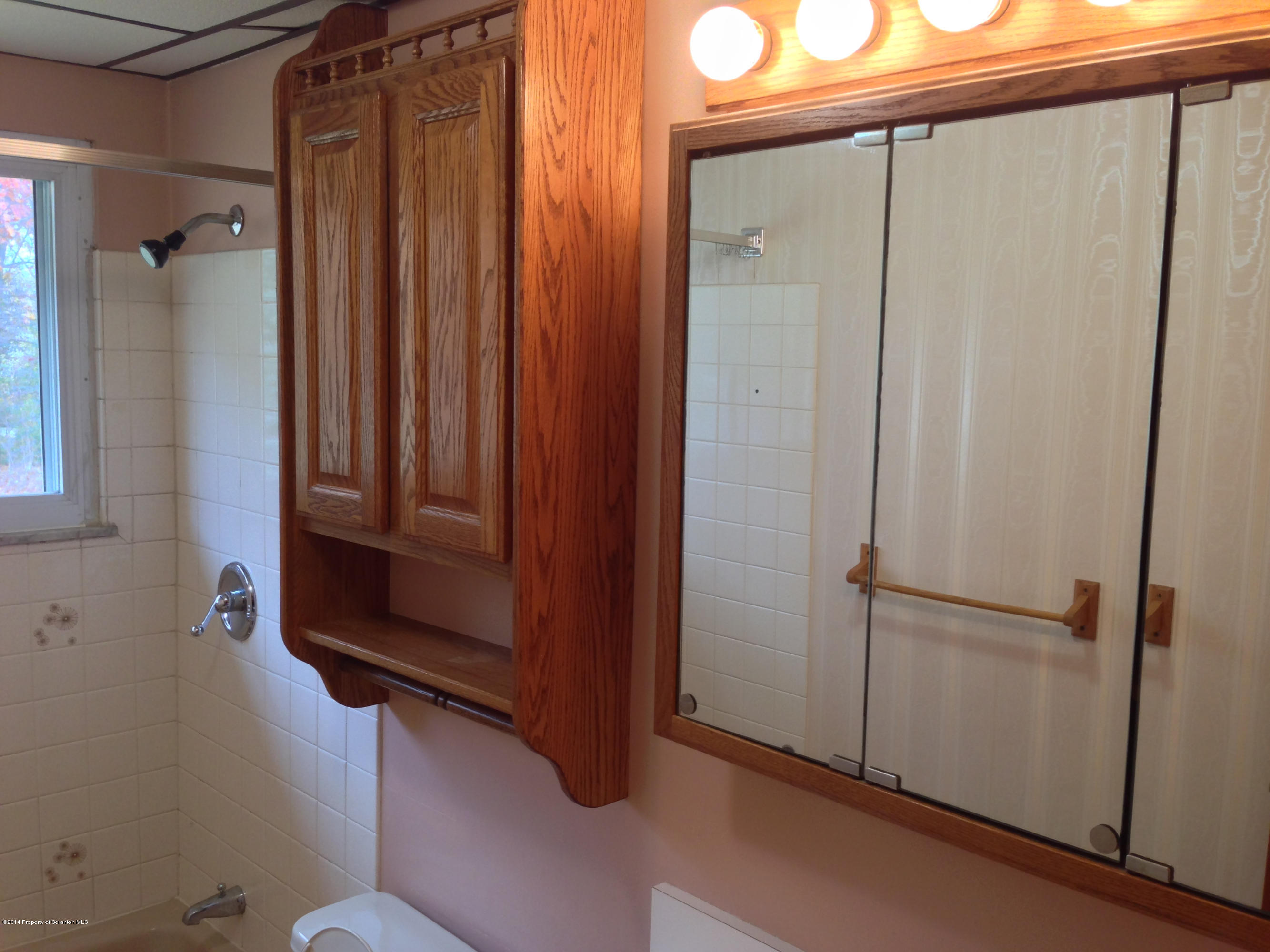 810 Lions Road Lake Ariel, PA 18436 - Photo 20 of 33 a bathroom with a shower and a sink