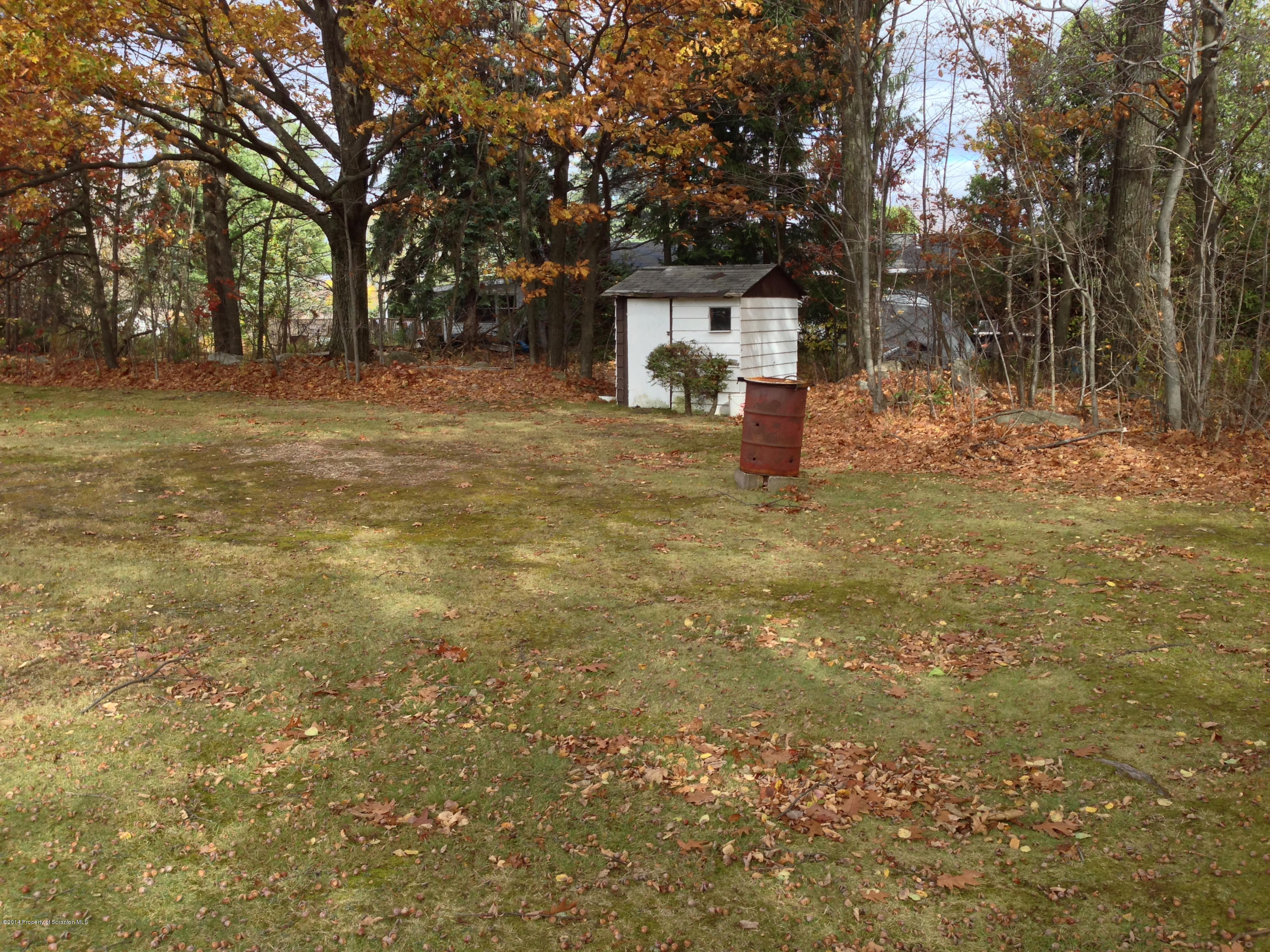 810 Lions Road Lake Ariel, PA 18436 - Photo 33 of 33 a view of a yard with a house and large trees