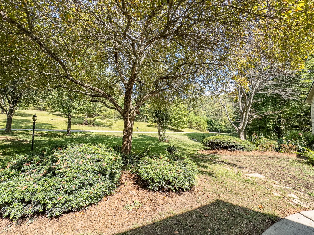 59 Cabin Run Lane Murphy, NC 28906 - Photo 67 of 82 a view of a garden with trees
