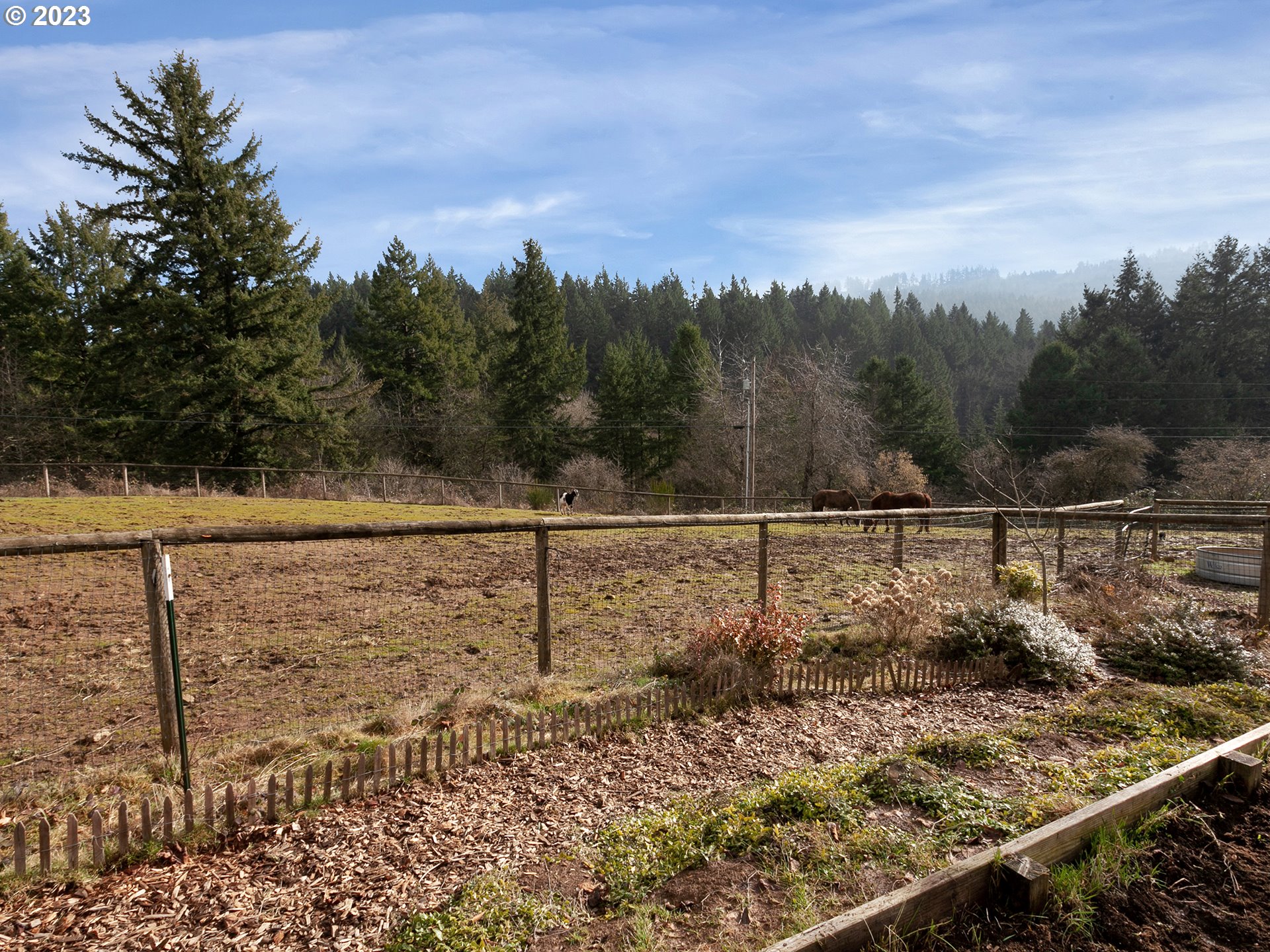 26401 Southwest Chehalem Station Road Sherwood, OR 97140 - Photo 25 of 29 Pasture
