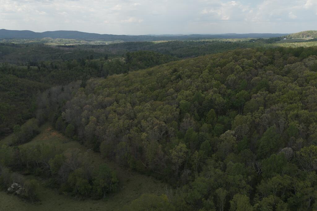 DJI_20260424145941_0791_D