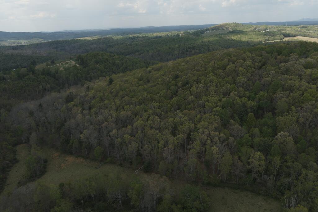 Tbd Rock Hill Church Road Southeast Floyd, VA 24091 - Photo 2 of 4 DJI_20260424145957_0792_D