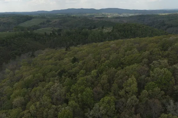 $50,000 | Tbd Rock Hill Church Road Southeast, Floyd, VA 24091