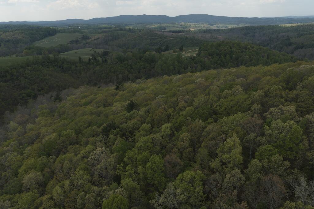 Tbd Rock Hill Church Road Southeast Floyd, VA 24091 - Photo 3 of 4 DJI_20260424150020_0793_D