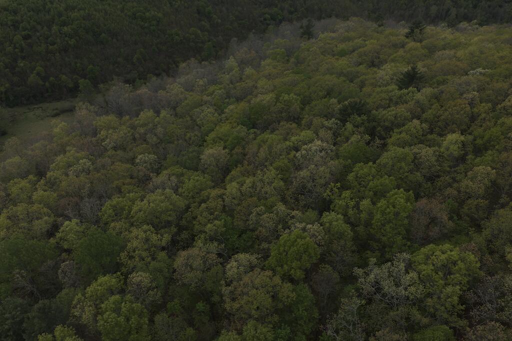 Tbd Rock Hill Church Road Southeast Floyd, VA 24091 - Photo 4 of 4 DJI_20260424150024_0794_D