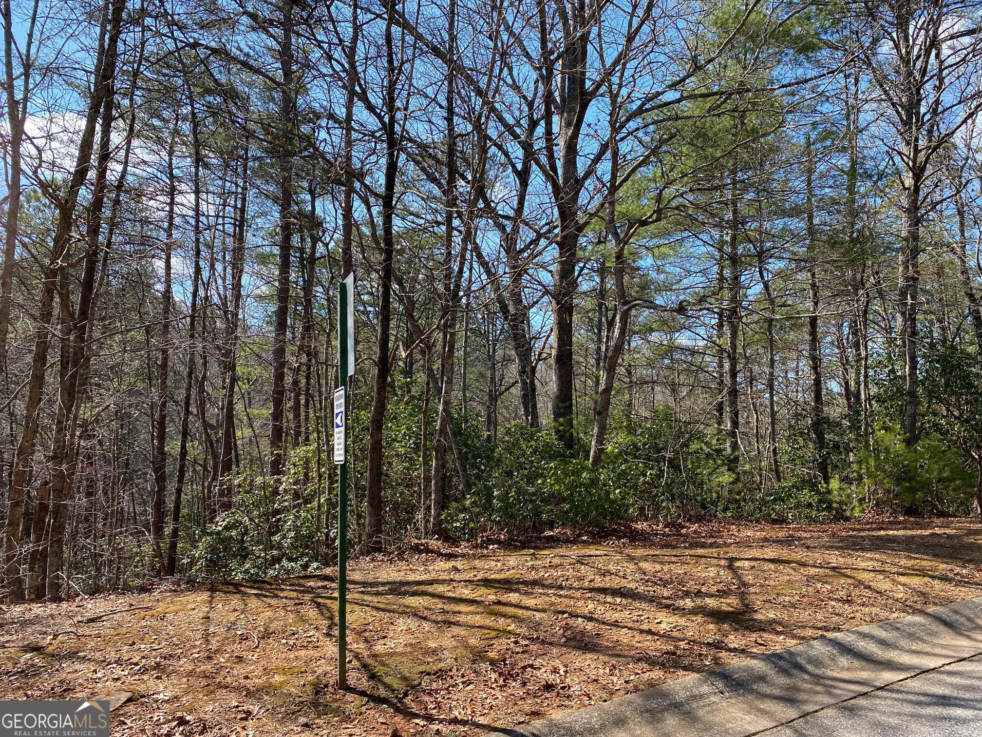 0 Zeppelin Strasse, Unit 6 Helen, GA 30545 - Photo 1 of 1 Gallery Image 1