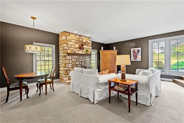 a living room with a toilet and a shower curtain