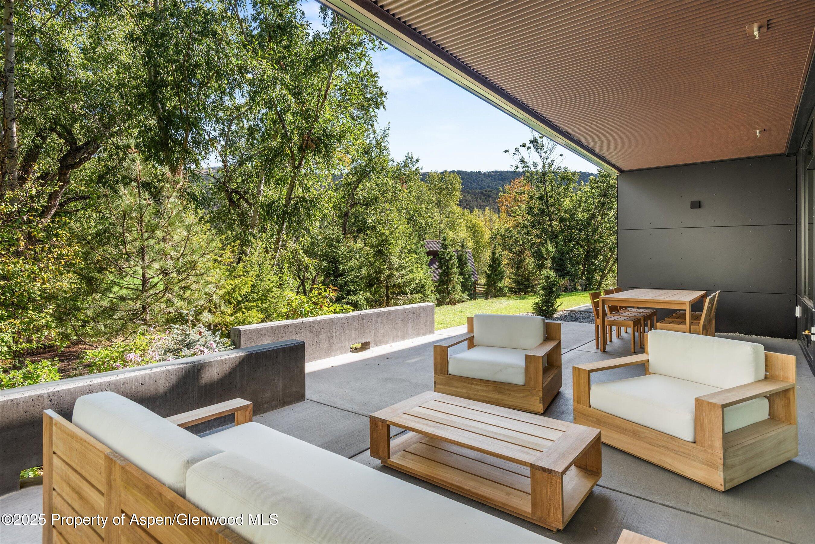 105 Willow Road, Unit 204 Basalt, CO 81621 - Photo 12 of 13 Private Patio