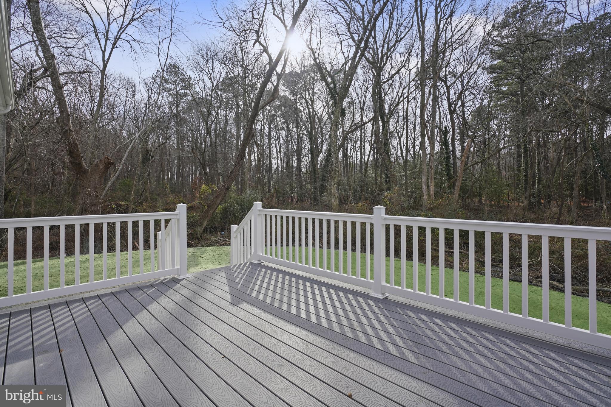 32 Decatur Street Berlin, MD 21811 - Photo 7 of 44 Composite rear deck