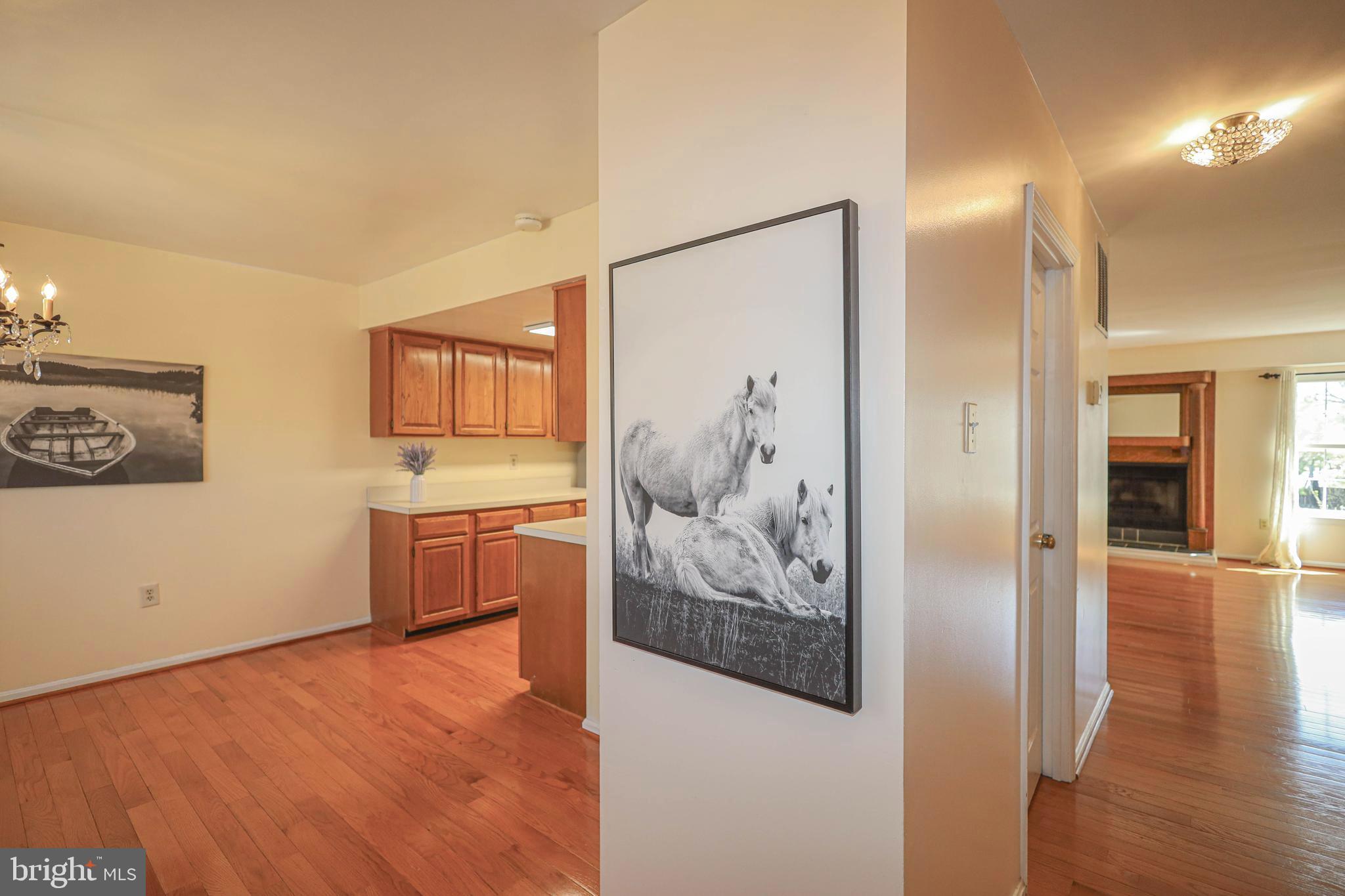 3737 Capulet Terrace, Unit 3737 Silver Spring, MD 20906 - Photo 4 of 30