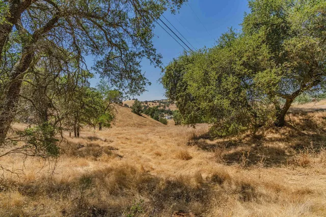 a view of a dry yard