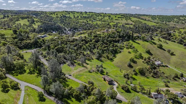 a view of a garden with a pathway
