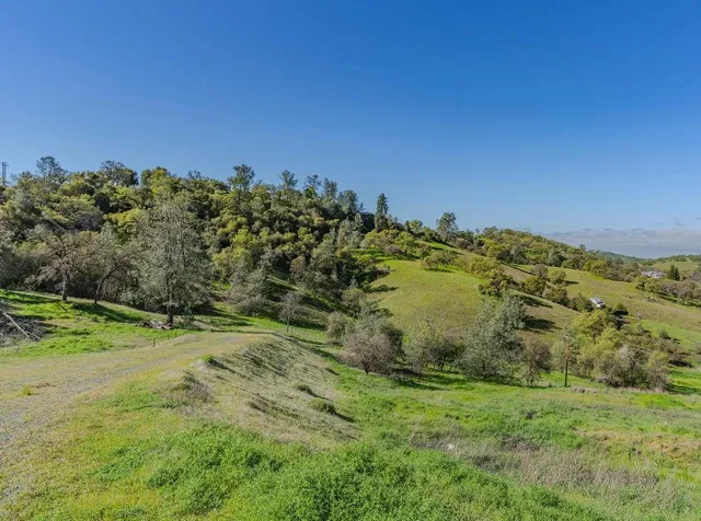 a view of a yard with a garden
