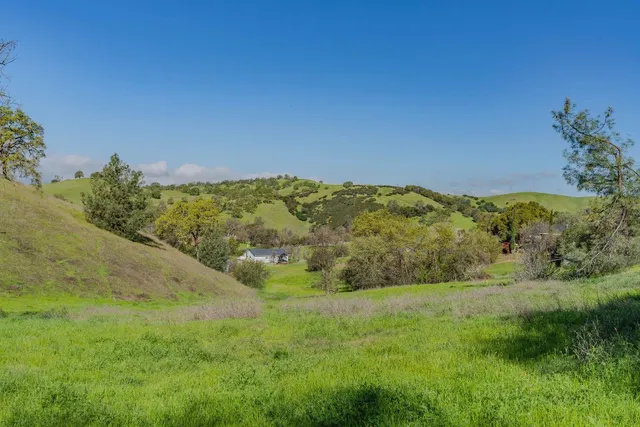 a view of a yard with a mountain