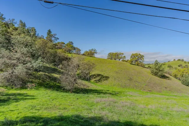 a view of a field with an ocean