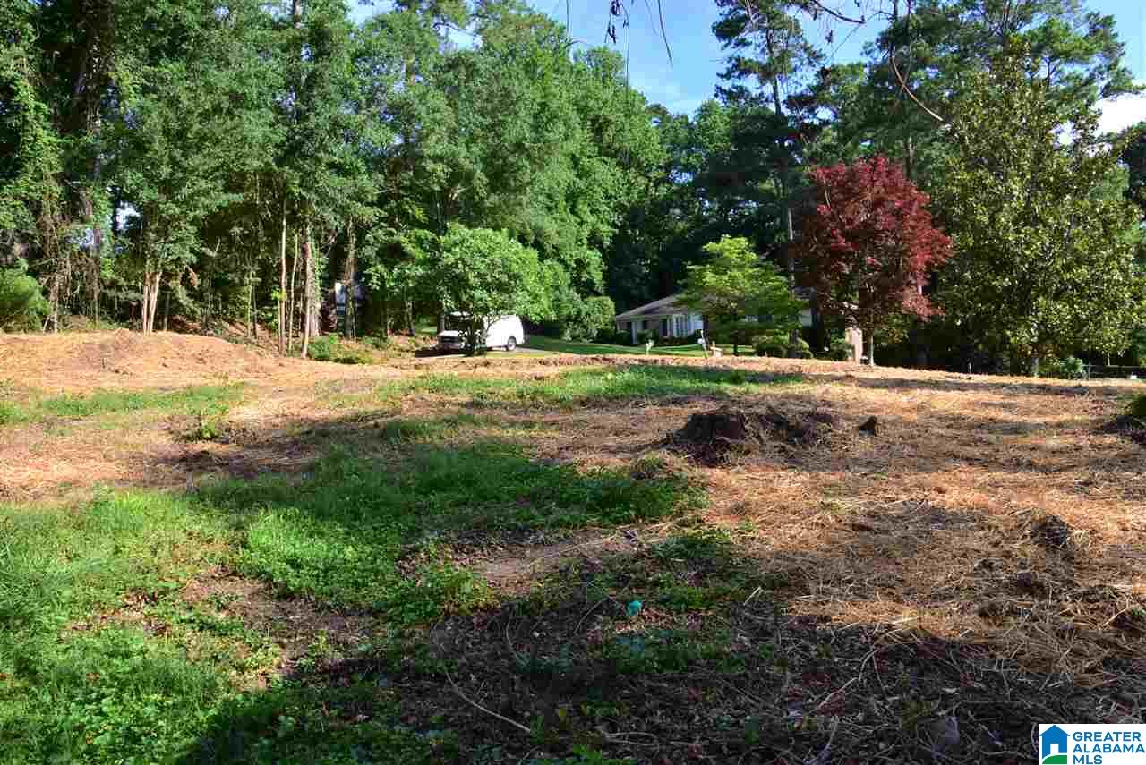 3149 Warrington Road, Unit 3149 Birmingham, AL 35223 - Photo 3 of 4