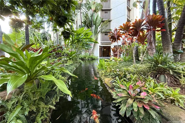 a picture of flowers