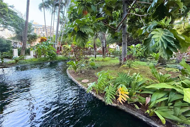 a view of a garden with plants