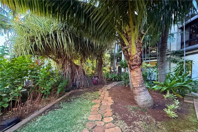 a view of a backyard with plants and large trees
