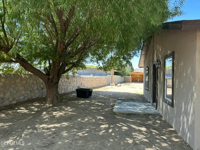 a view of a yard with tree s