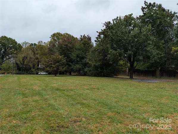 a view of a yard with a trees