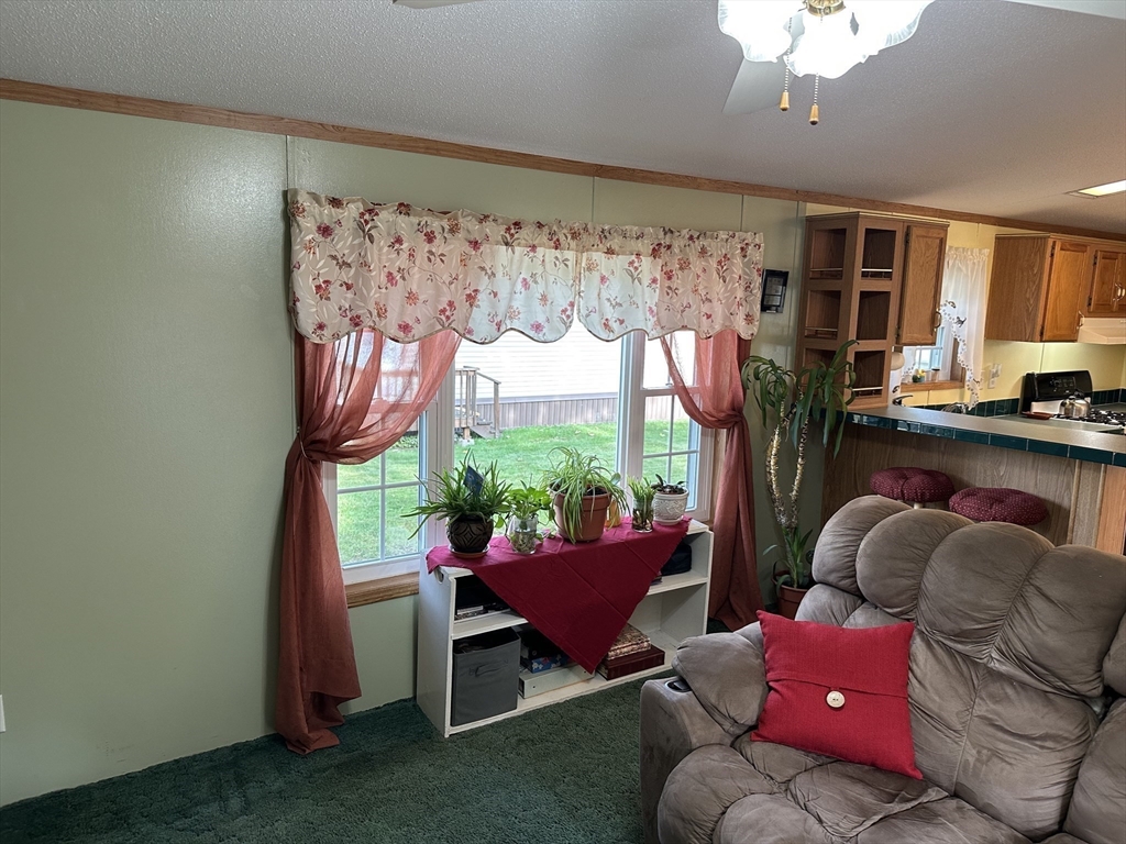 72 Quaboag Valley, Unit 70 Palmer, MA 01069 - Photo 9 of 21 a living room with furniture and a potted plant