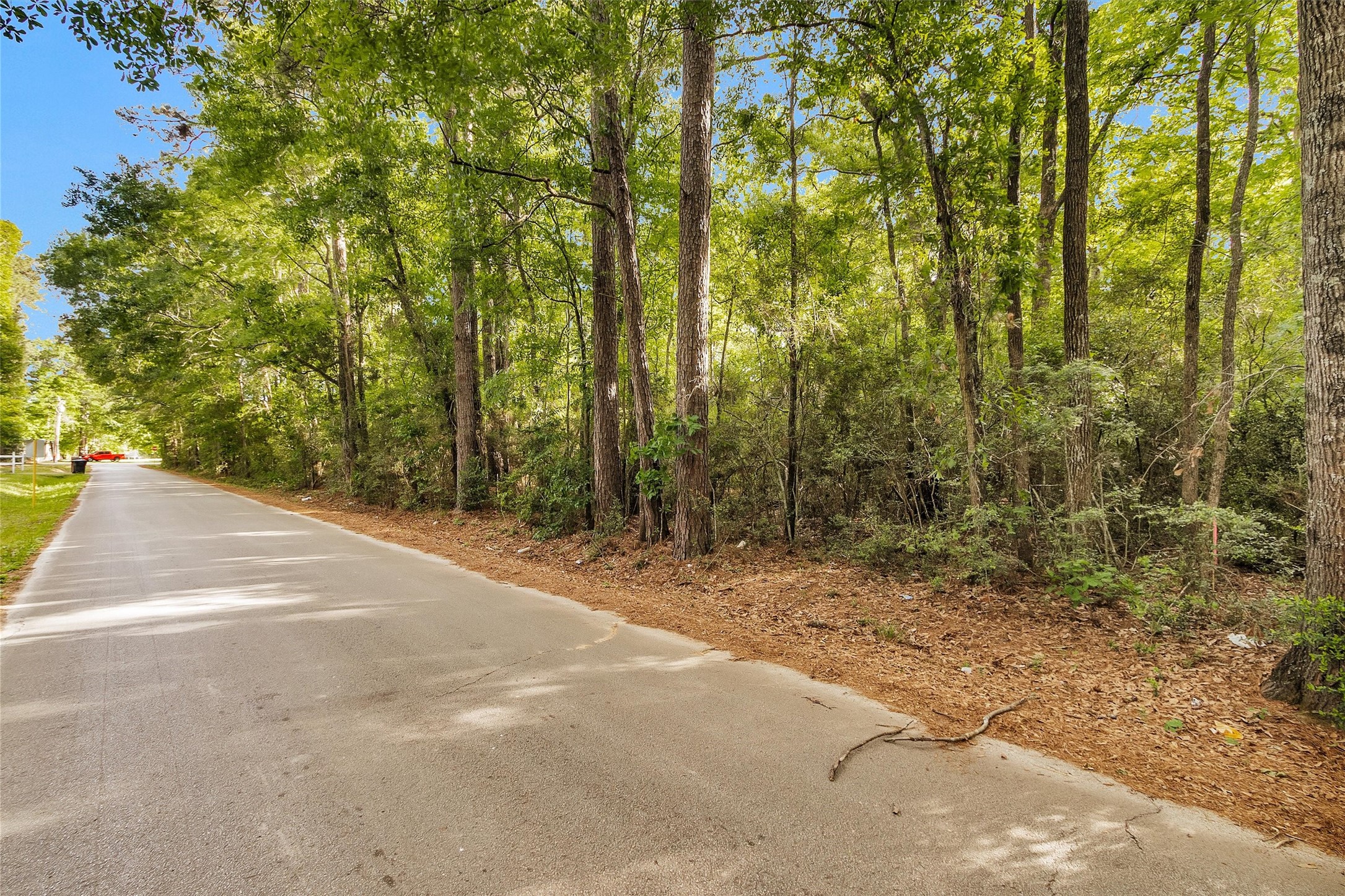 15700 Ben Wiggins Road Conroe, TX 77303 - Photo 3 of 7