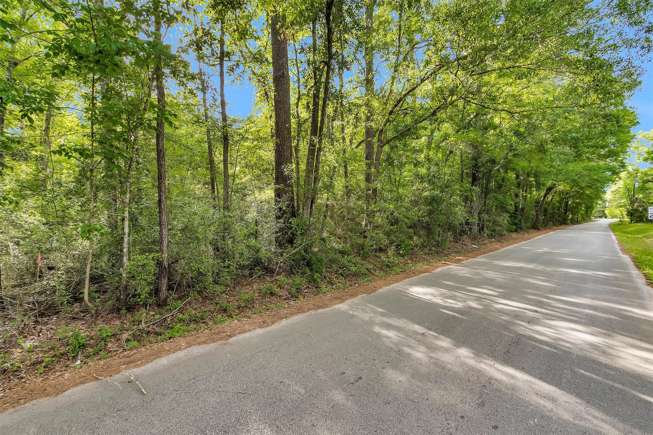 15700 Ben Wiggins Road Conroe, TX 77303 - Photo 4 of 7