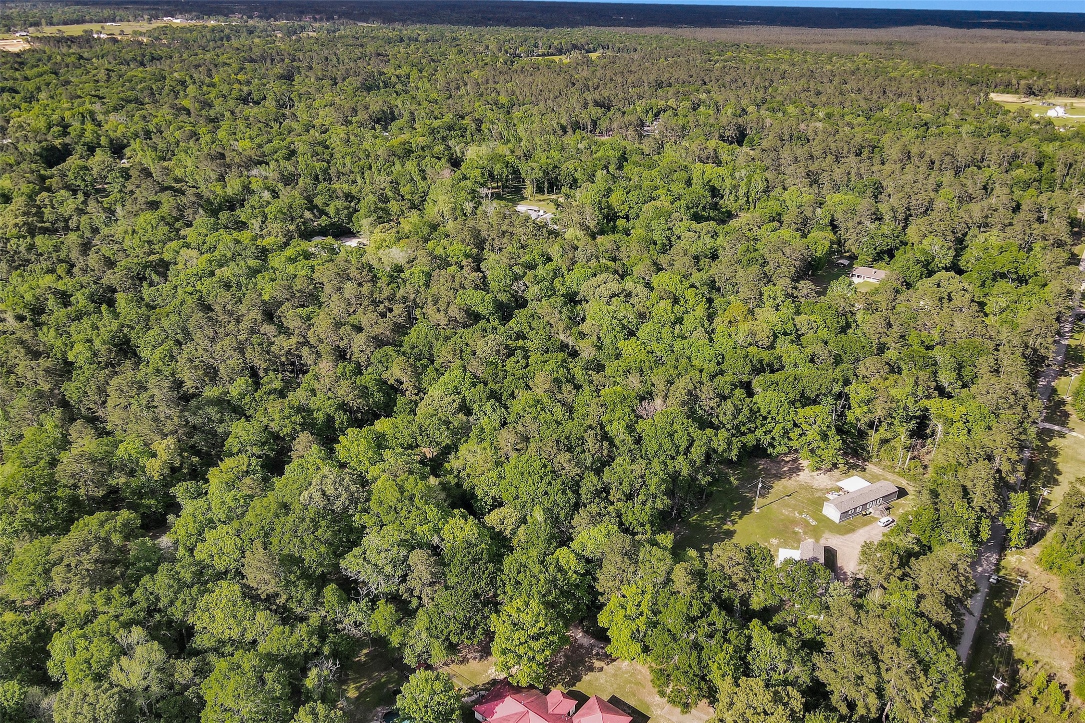 15700 Ben Wiggins Road Conroe, TX 77303 - Photo 5 of 7