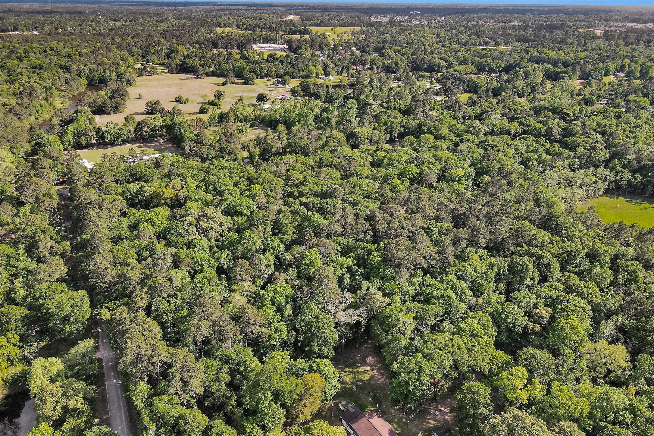 15700 Ben Wiggins Road Conroe, TX 77303 - Photo 7 of 7