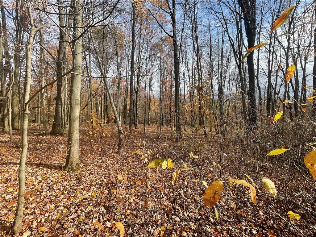 322 Hosack Road Jackson Center, PA 16133 - Photo 2 of 5