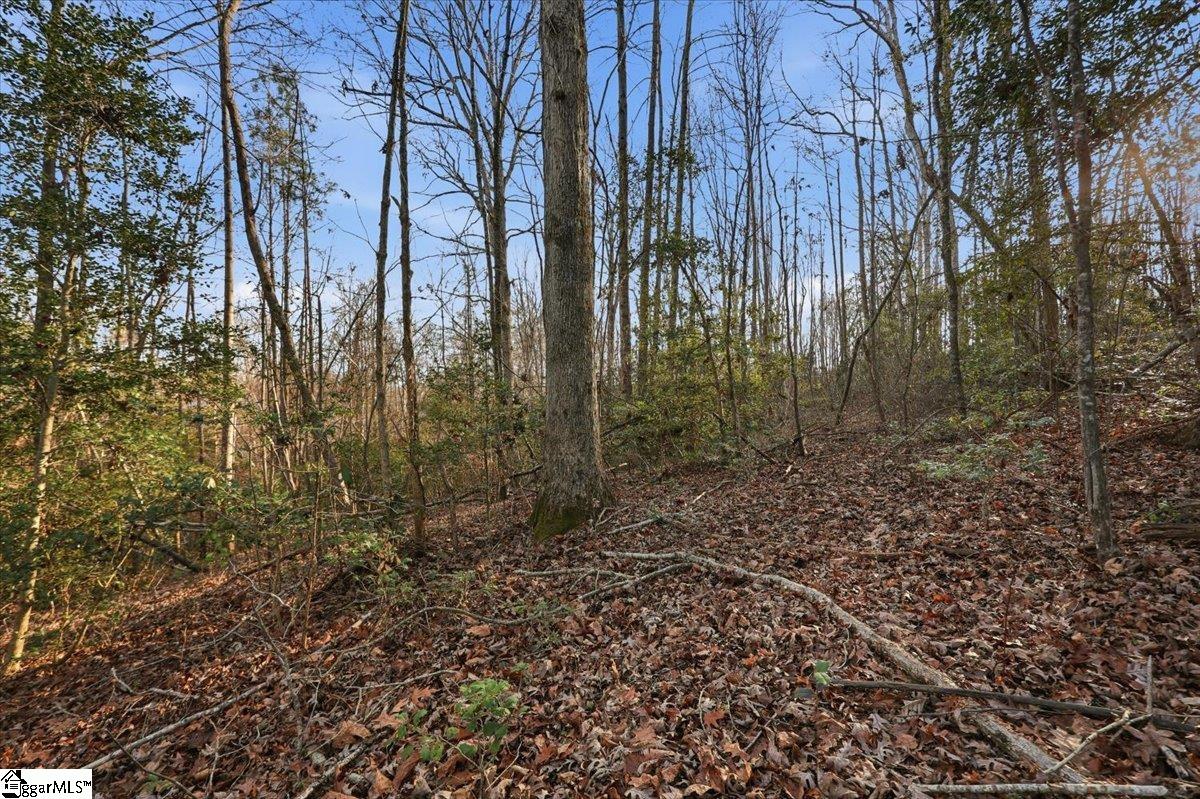 831 Neighborhood Road Wellford, SC 29385 - Photo 5 of 33