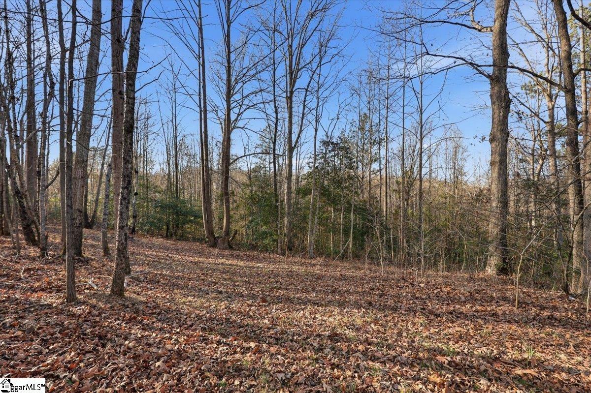 831 Neighborhood Road Wellford, SC 29385 - Photo 6 of 33