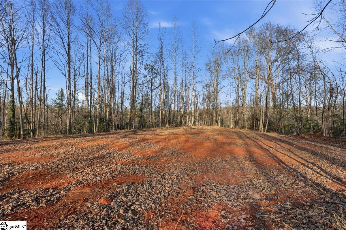 831 Neighborhood Road Wellford, SC 29385 - Photo 6 of 35