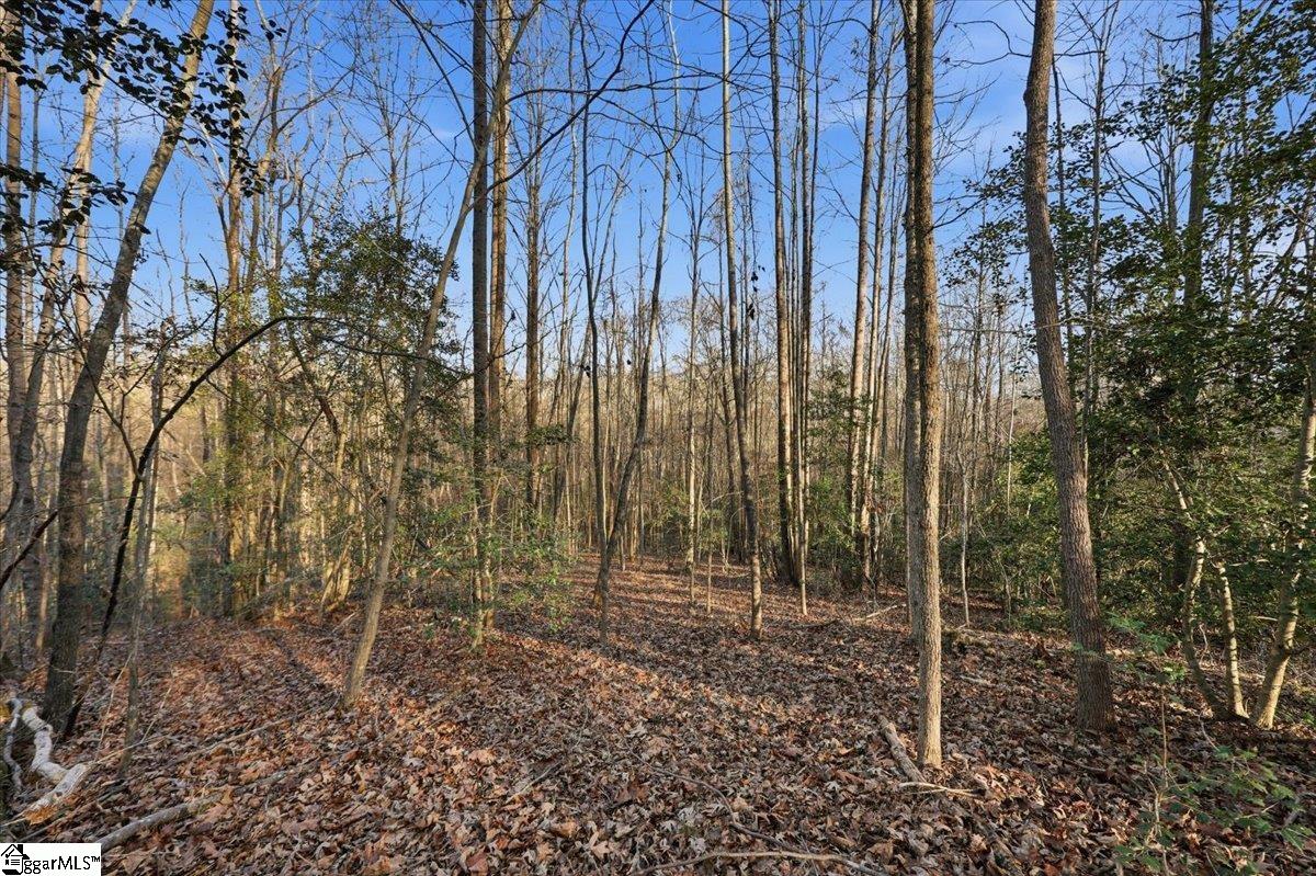 831 Neighborhood Road Wellford, SC 29385 - Photo 10 of 35