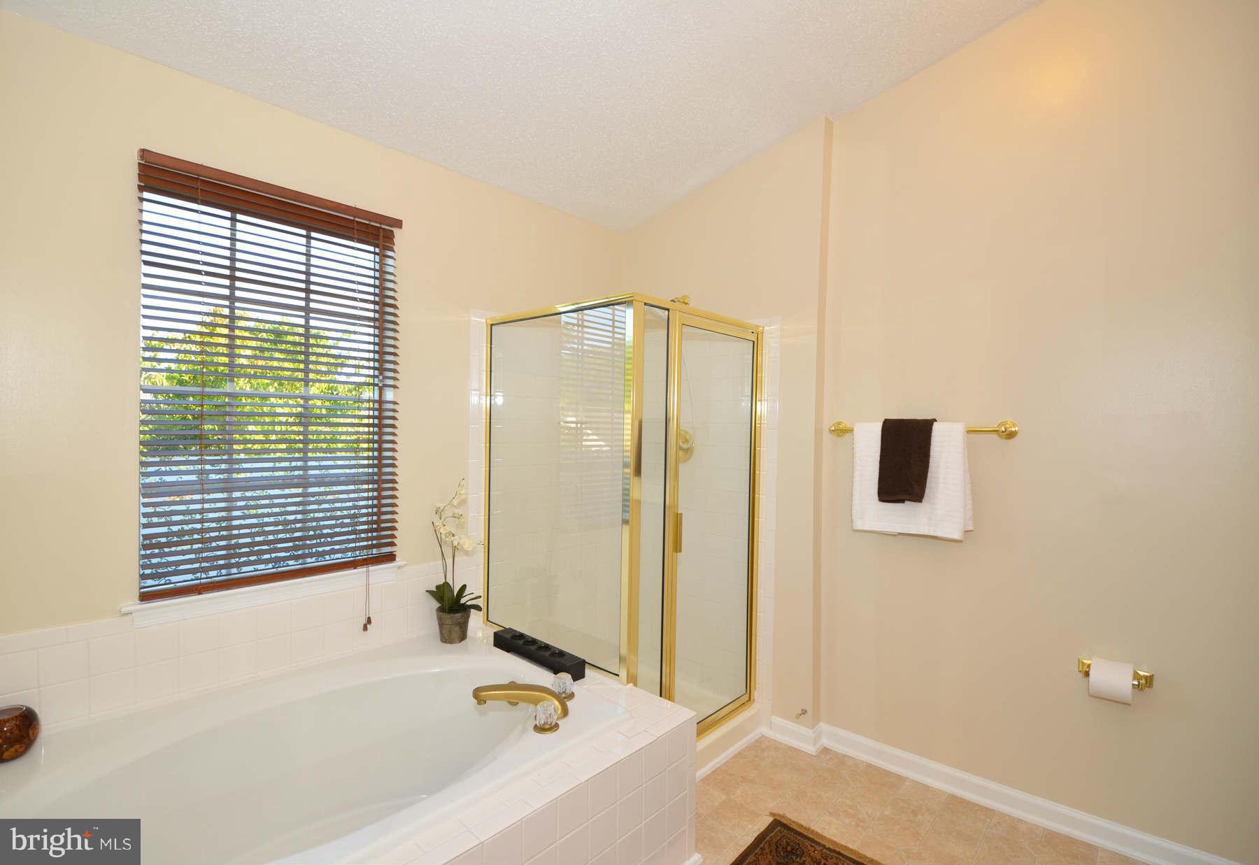 2124 Blue Knob Terrace Silver Spring, MD 20906 - Photo 13 of 22 Bath (Master)