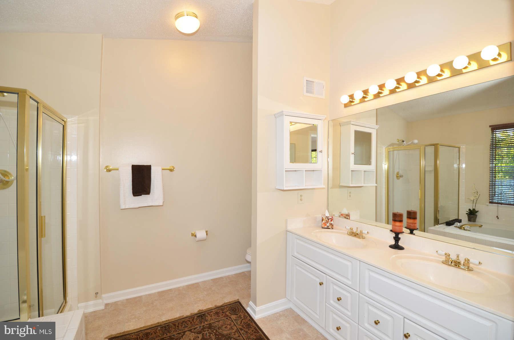 2124 Blue Knob Terrace Silver Spring, MD 20906 - Photo 14 of 22 Bath (Master)
