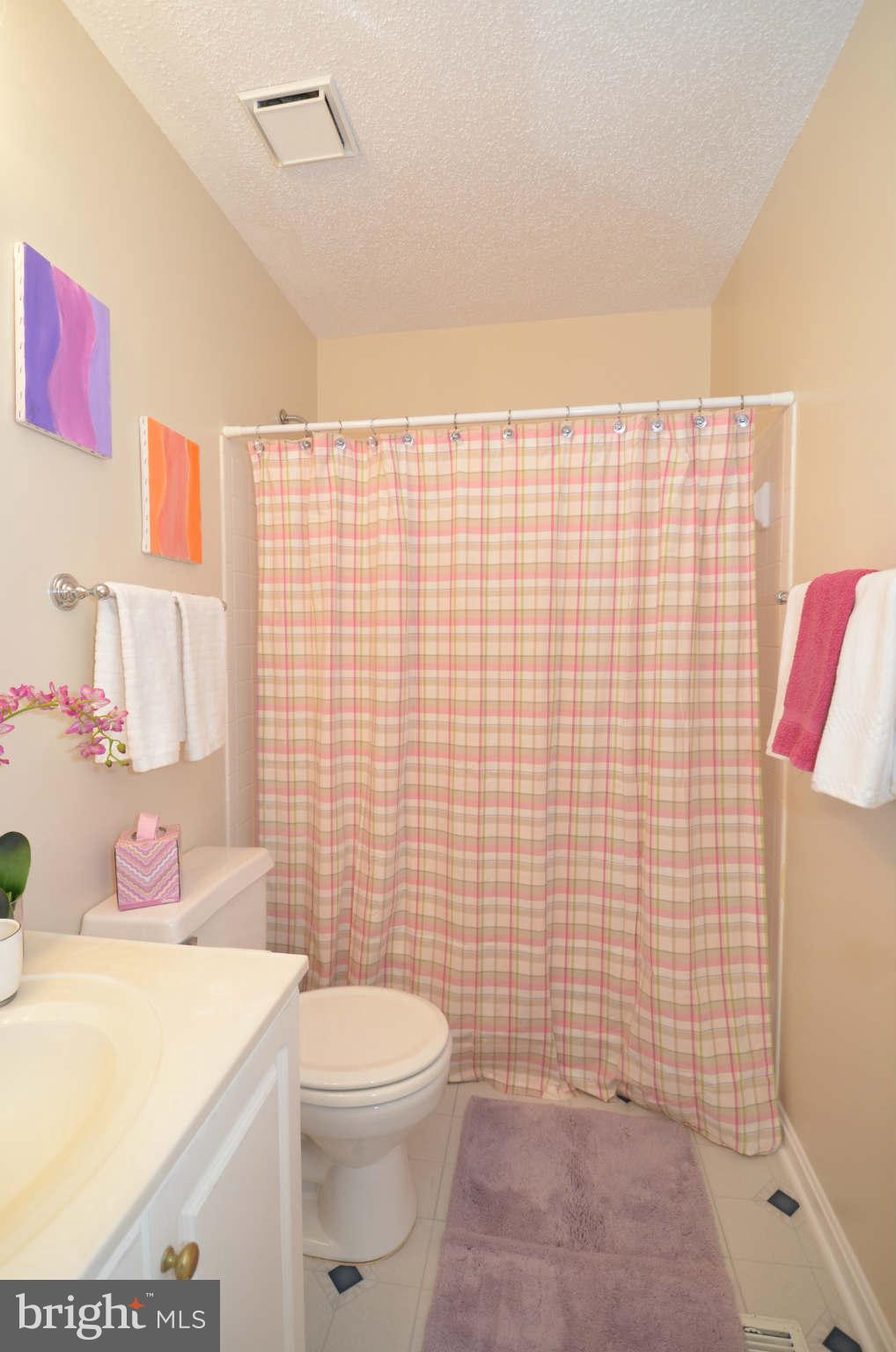 2124 Blue Knob Terrace Silver Spring, MD 20906 - Photo 17 of 22 Bath