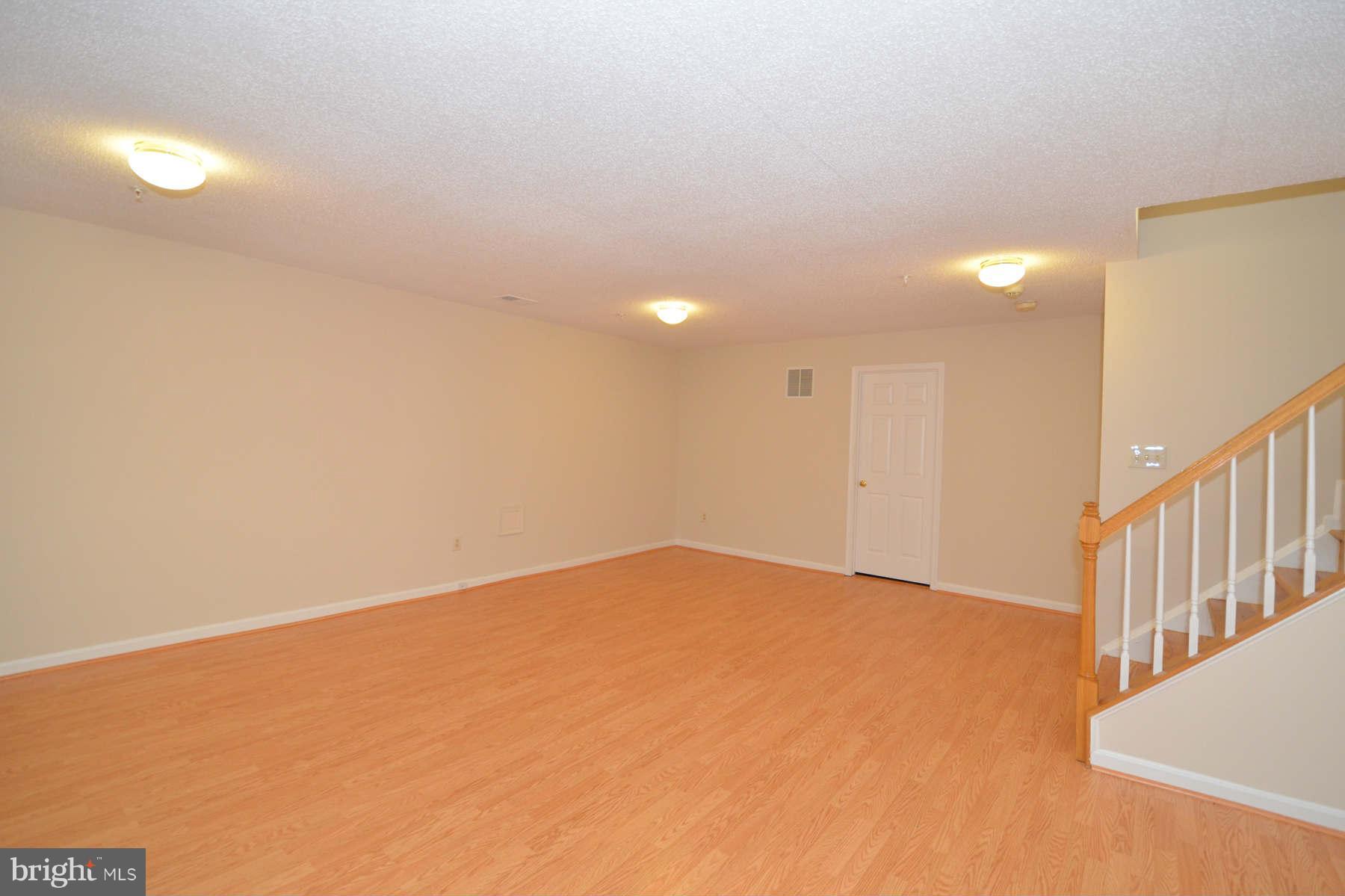 2124 Blue Knob Terrace Silver Spring, MD 20906 - Photo 19 of 22 Basement