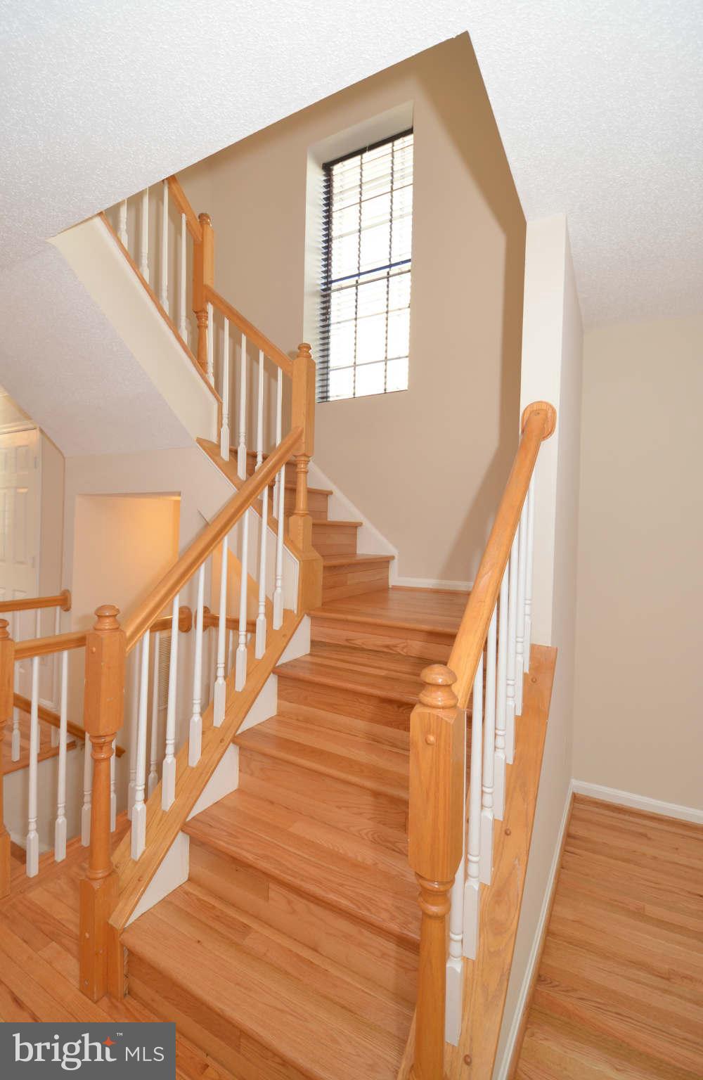 2124 Blue Knob Terrace Silver Spring, MD 20906 - Photo 10 of 22 Stairs