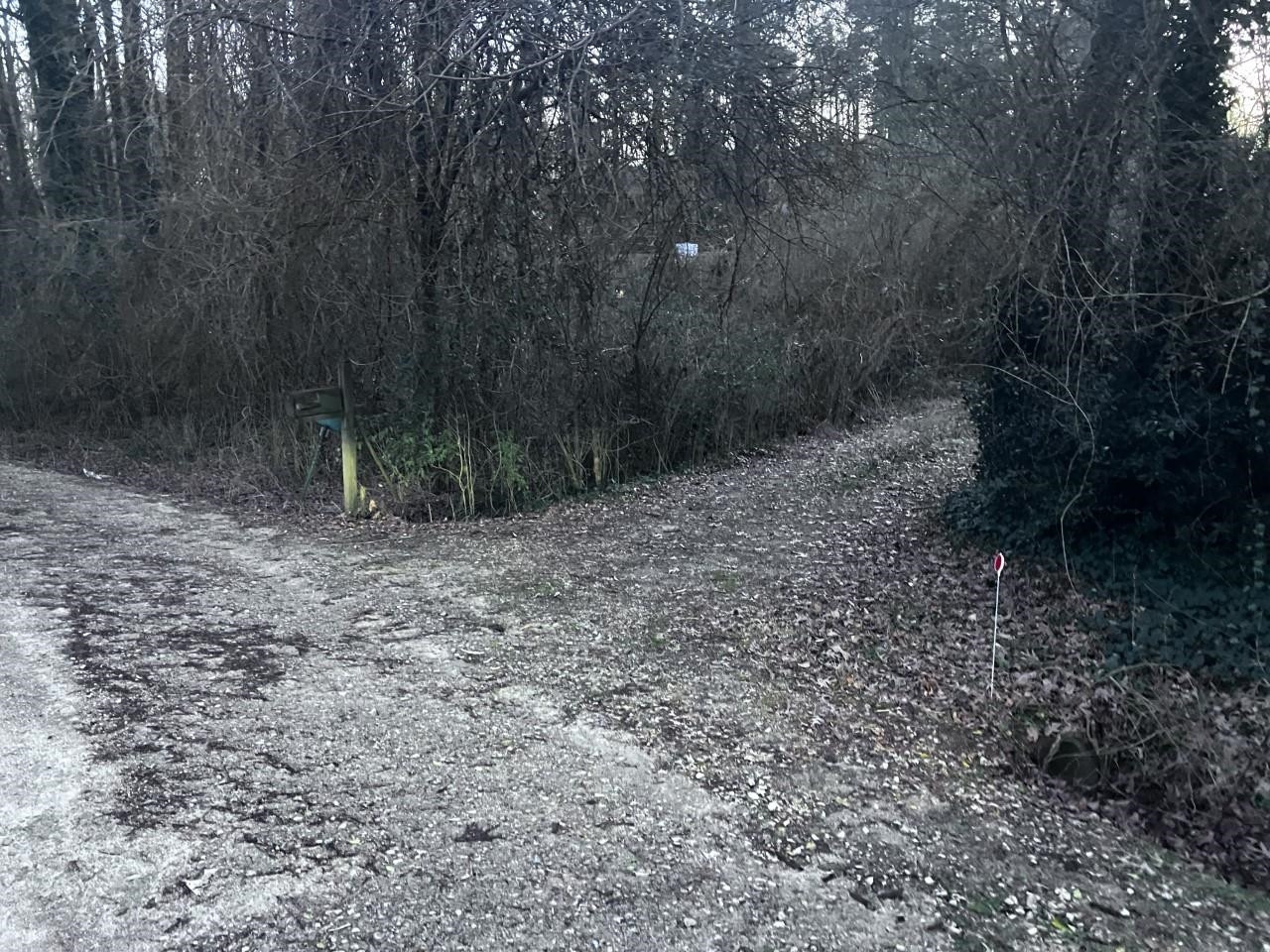 1212 Onslow Road Raleigh, NC 27606 - Photo 6 of 6 a view of a yard