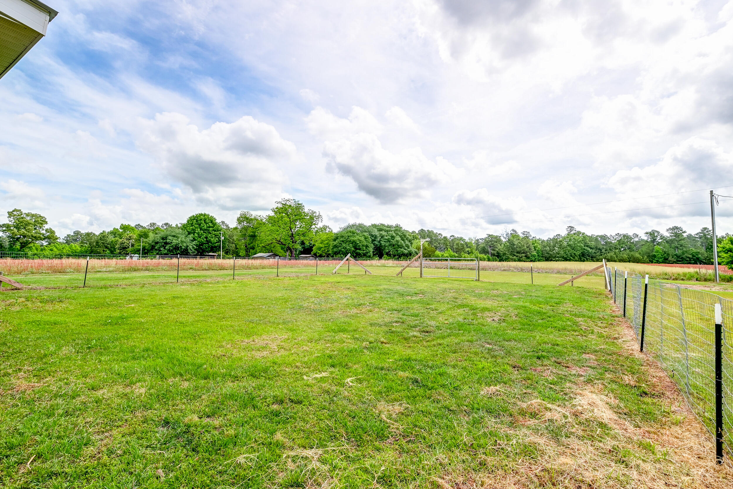 252 Jane Harvin Road Lane, SC 29564 - Photo 8 of 50 DSC_7190_1_2_3_4